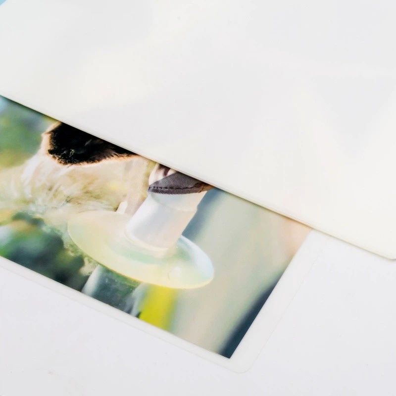 Laminate Sheets For Paper suppliers